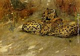 Arthur Wardle Canvas Paintings - Study Of East African Leopards